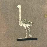 Menagerie of Tiny Animals! Very Charming Earlier 19th Century Mounted Watercolors in Period Gilded Frame
