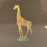 Menagerie of Tiny Animals! Very Charming Earlier 19th Century Mounted Watercolors in Period Gilded Frame