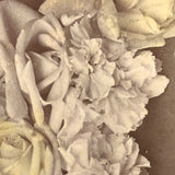 Winsome Antique Cabinet Card with Hand-tinted Flowers