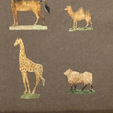 Menagerie of Tiny Animals! Very Charming Earlier 19th Century Mounted Watercolors in Period Gilded Frame