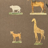 Menagerie of Tiny Animals! Very Charming Earlier 19th Century Mounted Watercolors in Period Gilded Frame