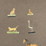 Menagerie of Tiny Animals! Very Charming Earlier 19th Century Mounted Watercolors in Period Gilded Frame