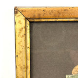 Menagerie of Tiny Animals! Very Charming Earlier 19th Century Mounted Watercolors in Period Gilded Frame