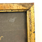 Menagerie of Tiny Animals! Very Charming Earlier 19th Century Mounted Watercolors in Period Gilded Frame