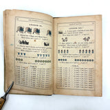 Robinson's Progressive Table Book, 1862, with Wonderful Hand-colored