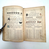 Robinson's Progressive Table Book, 1862, with Wonderful Hand-colored