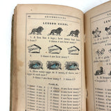 Robinson's Progressive Table Book, 1862, with Wonderful Hand-colored