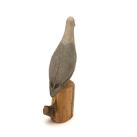Beautifully Humble Carved Folk Art Gull in Great Paint