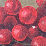 Still Life with Cherries, Grapes and Oranges, C. 1890s Oil on Canvas Painting