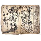 Marvelously Expressive Birds in Nature, Japanese Edo Period (1830-40s) Sketchbook of Original Ink Drawings