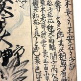 Marvelously Expressive Birds in Nature, Japanese Edo Period (1830-40s) Sketchbook of Original Ink Drawings