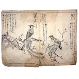 Marvelously Expressive Birds in Nature, Japanese Edo Period (1830-40s) Sketchbook of Original Ink Drawings
