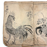 Marvelously Expressive Birds in Nature, Japanese Edo Period (1830-40s) Sketchbook of Original Ink Drawings