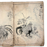 Marvelously Expressive Birds in Nature, Japanese Edo Period (1830-40s) Sketchbook of Original Ink Drawings