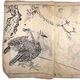 Marvelously Expressive Birds in Nature, Japanese Edo Period (1830-40s) Sketchbook of Original Ink Drawings