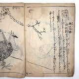 Marvelously Expressive Birds in Nature, Japanese Edo Period (1830-40s) Sketchbook of Original Ink Drawings