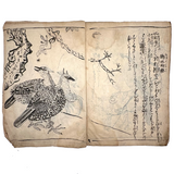 Marvelously Expressive Birds in Nature, Japanese Edo Period (1830-40s) Sketchbook of Original Ink Drawings