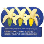 Green to Yellow Bananas! Great Original Vintage Heavy Cardboard Grocery Display Sign