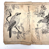 Marvelously Expressive Birds in Nature, Japanese Edo Period (1830-40s) Sketchbook of Original Ink Drawings