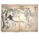 Marvelously Expressive Birds in Nature, Japanese Edo Period (1830-40s) Sketchbook of Original Ink Drawings