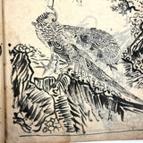 Marvelously Expressive Birds in Nature, Japanese Edo Period (1830-40s) Sketchbook of Original Ink Drawings