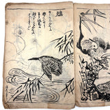 Marvelously Expressive Birds in Nature, Japanese Edo Period (1830-40s) Sketchbook of Original Ink Drawings