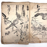 Marvelously Expressive Birds in Nature, Japanese Edo Period (1830-40s) Sketchbook of Original Ink Drawings
