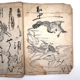 Marvelously Expressive Birds in Nature, Japanese Edo Period (1830-40s) Sketchbook of Original Ink Drawings