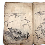 Marvelously Expressive Birds in Nature, Japanese Edo Period (1830-40s) Sketchbook of Original Ink Drawings