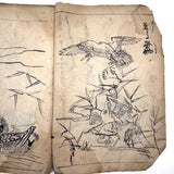 Marvelously Expressive Birds in Nature, Japanese Edo Period (1830-40s) Sketchbook of Original Ink Drawings