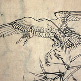 Marvelously Expressive Birds in Nature, Japanese Edo Period (1830-40s) Sketchbook of Original Ink Drawings