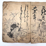 Marvelously Expressive Birds in Nature, Japanese Edo Period (1830-40s) Sketchbook of Original Ink Drawings