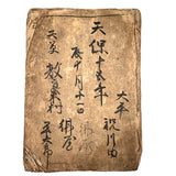 Marvelously Expressive Birds in Nature, Japanese Edo Period (1830-40s) Sketchbook of Original Ink Drawings