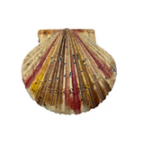 Scallop Shell in Polychrome, Excellent Antique Pin Cushion with Red Velvet Interior