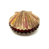 Scallop Shell in Polychrome, Excellent Antique Pin Cushion with Red Velvet Interior
