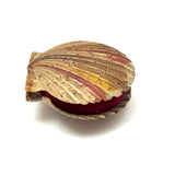 Scallop Shell in Polychrome, Excellent Antique Pin Cushion with Red Velvet Interior