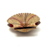 Scallop Shell in Polychrome, Excellent Antique Pin Cushion with Red Velvet Interior