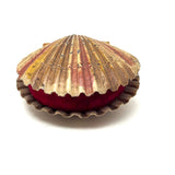 Scallop Shell in Polychrome, Excellent Antique Pin Cushion with Red Velvet Interior