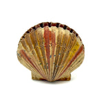 Scallop Shell in Polychrome, Excellent Antique Pin Cushion with Red Velvet Interior