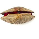 Scallop Shell in Polychrome, Excellent Antique Pin Cushion with Red Velvet Interior