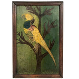 Brilliant Exotic Bird in Tree, c. 1920s Folk Art Oil on Board Signed Henry