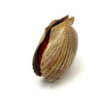 Scallop Shell in Polychrome, Excellent Antique Pin Cushion with Red Velvet Interior