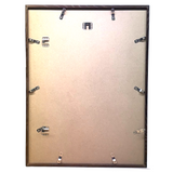 Aftonbladets! 1950 Vintage Swedish Chromolitho Edible Mushrooms Classroom Poster