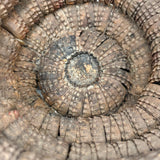 Sculptural, Well Aged Old Folk Art Bottle Cap Basket, Found in Maine