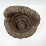 Sculptural, Well Aged Old Folk Art Bottle Cap Basket, Found in Maine