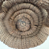 Sculptural, Well Aged Old Folk Art Bottle Cap Basket, Found in Maine