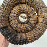 Sculptural, Well Aged Old Folk Art Bottle Cap Basket, Found in Maine