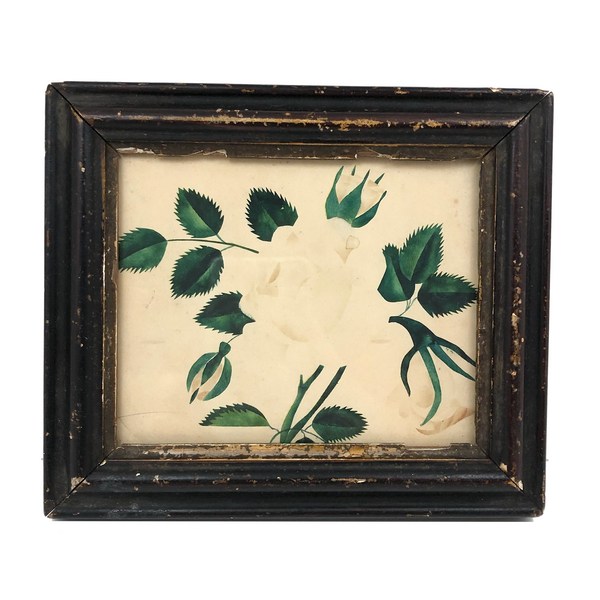 Mid 19th C. Theorem Watercolor Pale Rose with Lush Leaves in Terrific Period Frame