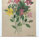 Winsome Colored Pencil Flowers Drawing
