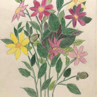 Winsome Colored Pencil Flowers Drawing